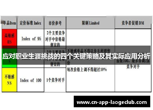 应对职业生涯挑战的四个关键策略及其实际应用分析