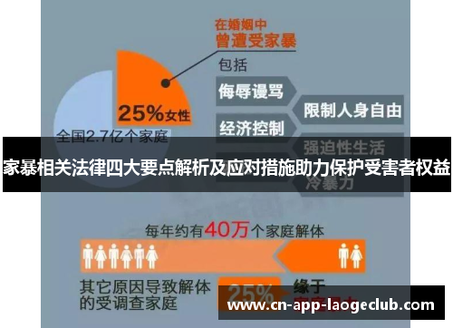 家暴相关法律四大要点解析及应对措施助力保护受害者权益