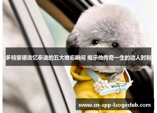 多特蒙德追忆泰迪的五大难忘瞬间 揭示他传奇一生的动人时刻