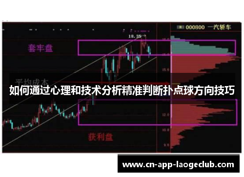 如何通过心理和技术分析精准判断扑点球方向技巧