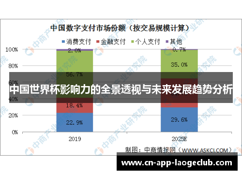 中国世界杯影响力的全景透视与未来发展趋势分析