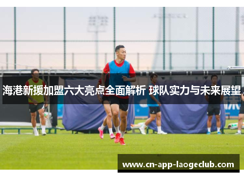 海港新援加盟六大亮点全面解析 球队实力与未来展望