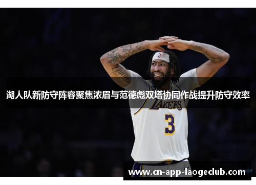 湖人队新防守阵容聚焦浓眉与范德彪双塔协同作战提升防守效率