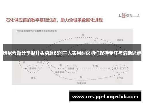 维尼修斯分享提升头脑意识的三大实用建议助你保持专注与清晰思维