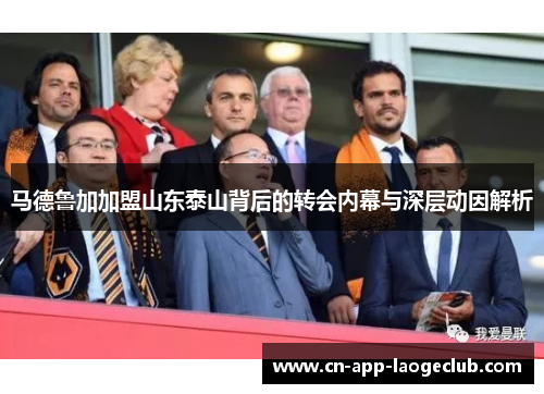 马德鲁加加盟山东泰山背后的转会内幕与深层动因解析
